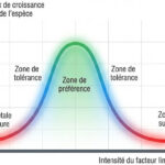 Représentation graphique de la loi de tolérance de Shelford montrant les zones de préférence, de tolérance et les limites létales pour une espèce.