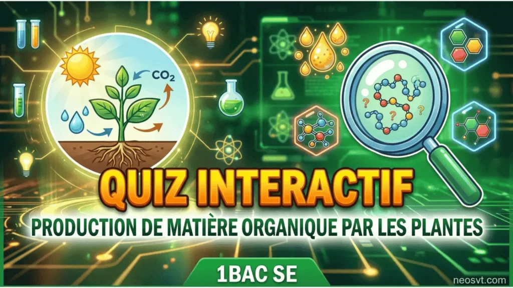 Quiz interactif sur la production de la matière organique par les plantes pour les élèves de 1BAC Sciences Expérimentales BIOF