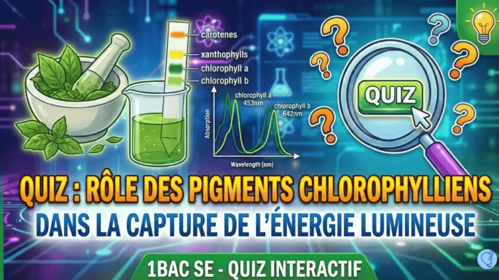 Quiz interactif sur le rôle des pigments chlorophylliens dans la captation de l'énergie lumineuse pour les élèves de 1BAC Sciences Expérimentales BIOF
