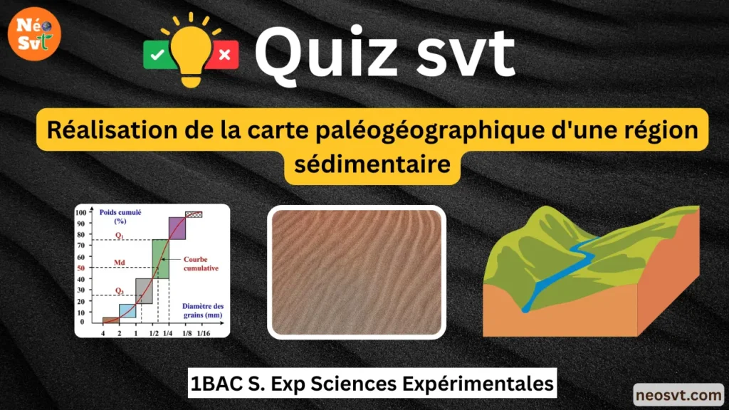 Quiz interactif SVT sur la réalisation d'une carte paléogéographique, incluant l'analyse granulométrique et les milieux de sédimentation - 1BAC.