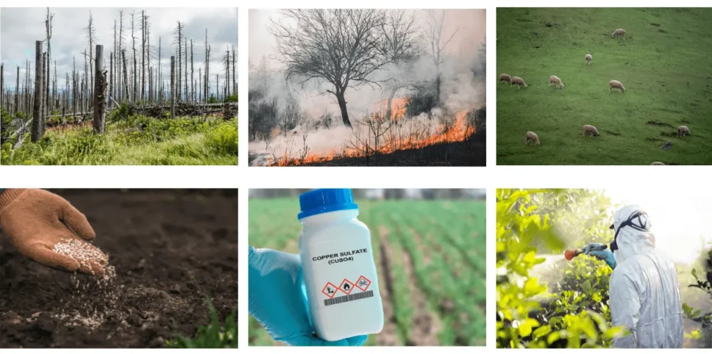 Compilation d'images illustrant la dégradation du sol : pollution par les pluies acides, incendies de forêt, surpâturage, engrais chimiques, sulfate de cuivre et pulvérisation de pesticides.