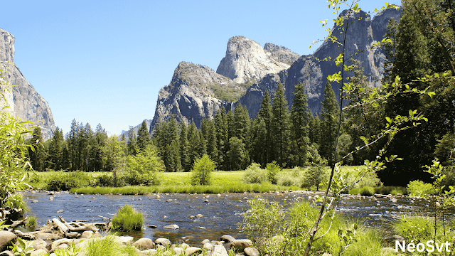 exemple d'écosystème forestier avec ses composants : le Biotope (facteurs et éléments abiotiques comme eau,sol,air et roches) et la Biocénose (ensemble des êtres vivants comme les arbres et les animaux et les insectes et les microorganismes)