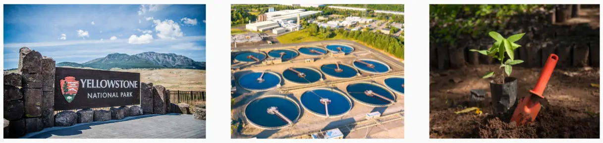 Collage montrant la protection de la biodiversité (Parc Yellowstone), le traitement des eaux usées et la reforestation (plantation d'un arbre) pour maintenir les équilibres naturels.