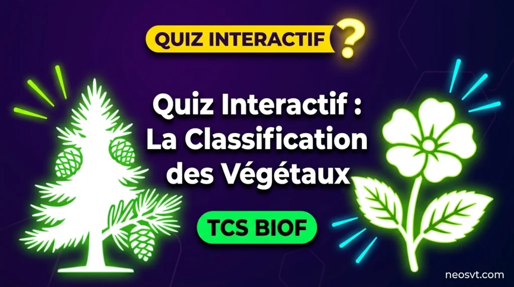 Quiz interactif d'évaluation sur les critères de classification des végétaux, TCS BIOF.