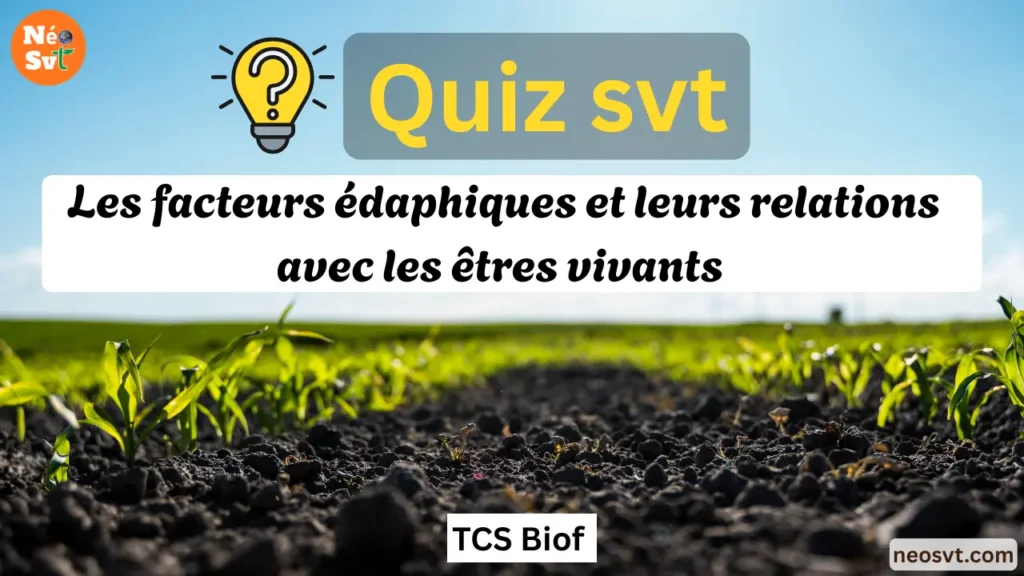 Image de couverture du quiz interactif sur les facteurs édaphiques et leurs relations avec les êtres vivants pour le niveau TCS BIOF.
