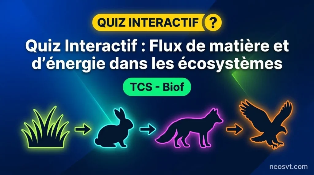 Quiz interactif sur le flux de matière et d'énergie dans les écosystèmes, niveau TCS BIOF.