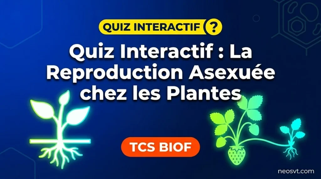 Quiz interactif expliquant la reproduction asexuée chez les plantes, TCS BIOF.