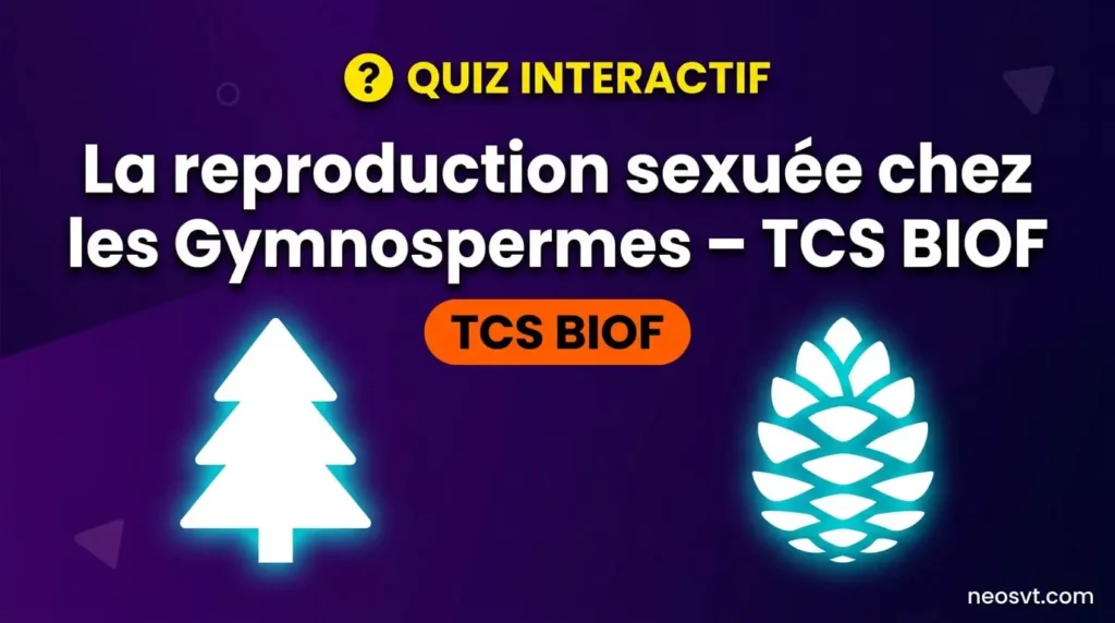 Quiz interactif sur la reproduction sexuée chez les Gymnospermes, programme TCS BIOF.