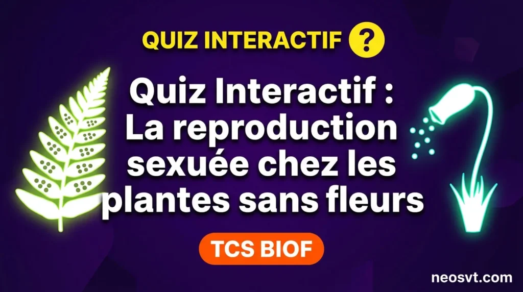 Quiz interactif détaillant la reproduction sexuée chez les plantes sans fleurs, TCS BIOF.