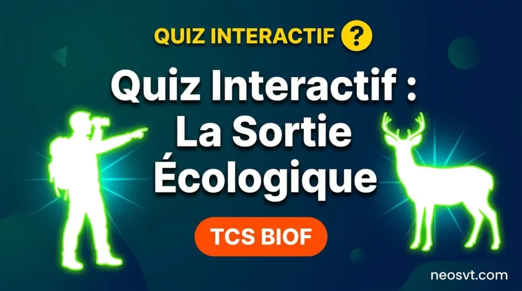 Quiz interactif sur les techniques d'étude sur le terrain lors d'une sortie écologique, TCS BIOF.