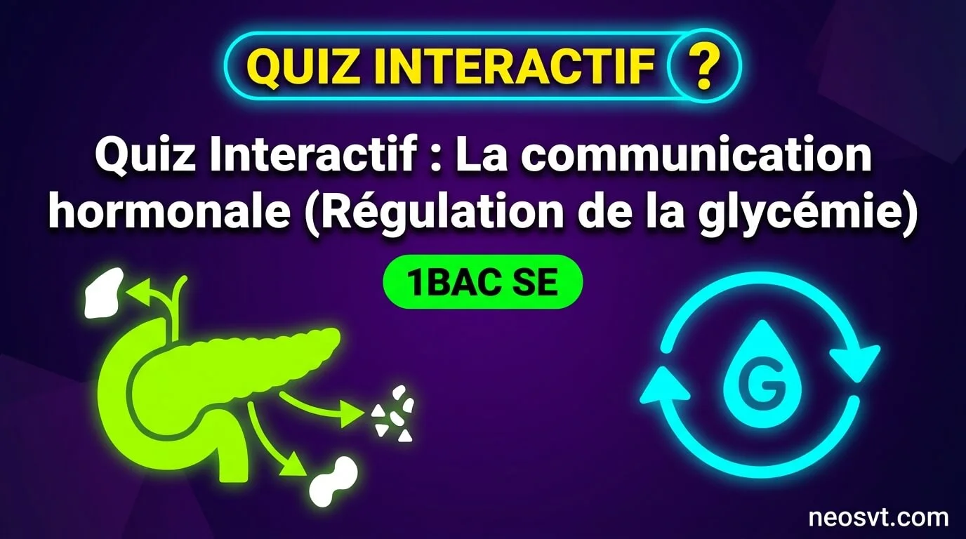Bannière du quiz sur la communication hormonale et la régulation de la glycémie pour les élèves de 1BAC SE, avec un schéma stylisé du pancréas.
