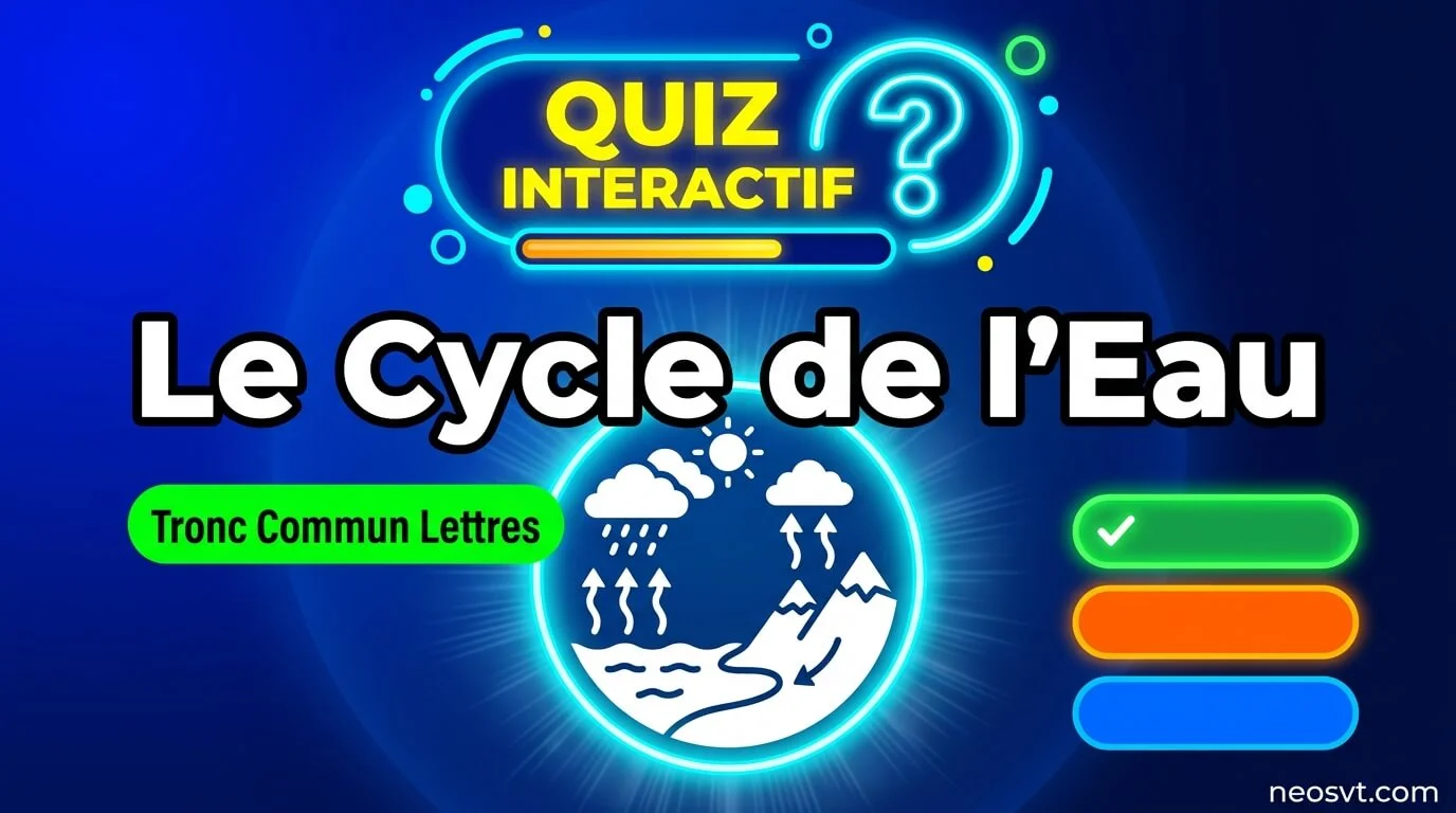 Quiz interactif sur les étapes du cycle de l'eau dans la nature - Niveau Tronc Commun Lettres.