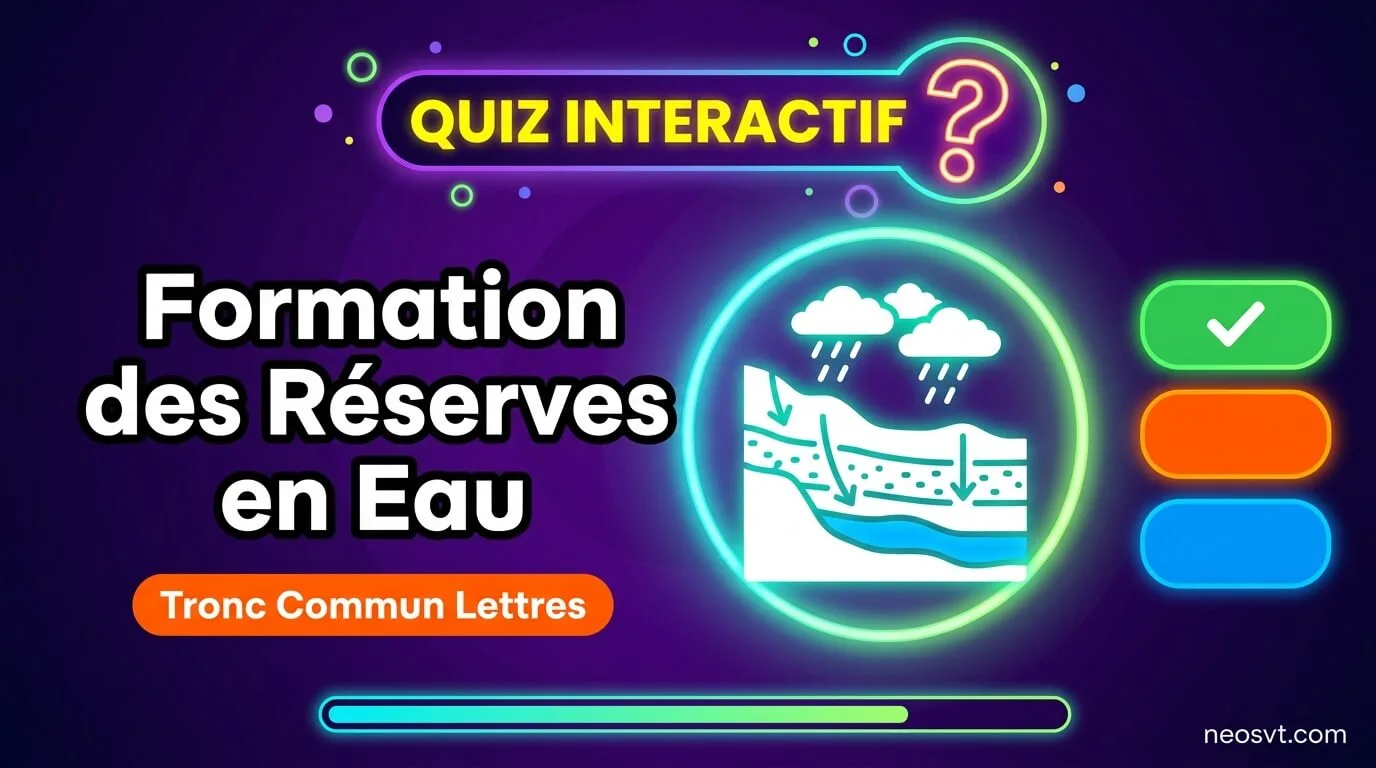 Quiz interactif SVT sur la formation des réserves en eau souterraines et superficielles.