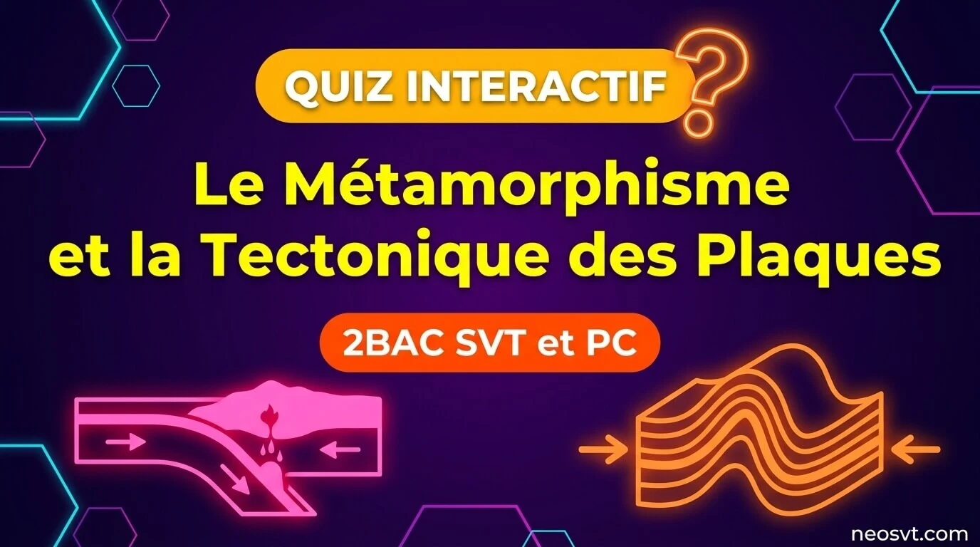 Quiz interactif de géologie sur le métamorphisme et la tectonique des plaques, avec schémas de zones de subduction et de déformations rocheuses.