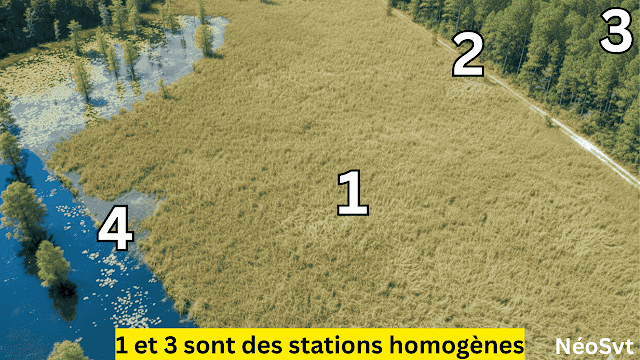 La zone où on peut mener l’étude écologique doit être homogène; Il faut éviter les limites des milieux ou lisières .dans cette image les stations homogènes sont 1et 3