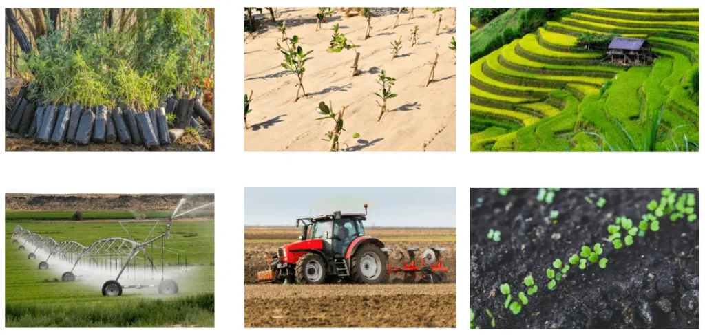 Techniques de préservation du sol : reboisement, lutte contre l'érosion, cultures en terrasses, irrigation moderne, labourage mécanique et croissance de jeunes pousses.