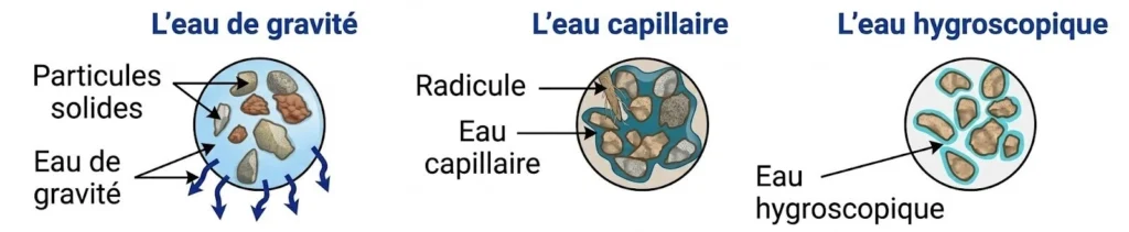 Schéma pédagogique montrant les trois formes d'eau dans le sol : l'eau de gravité (qui s'écoule), l'eau capillaire (absorbable par la radicule) et l'eau hygroscopique (retenue par les particules solides).