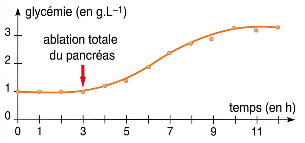 Graphe montrant l'hyperglycémie sévère suite à une ablation totale du pancréas.