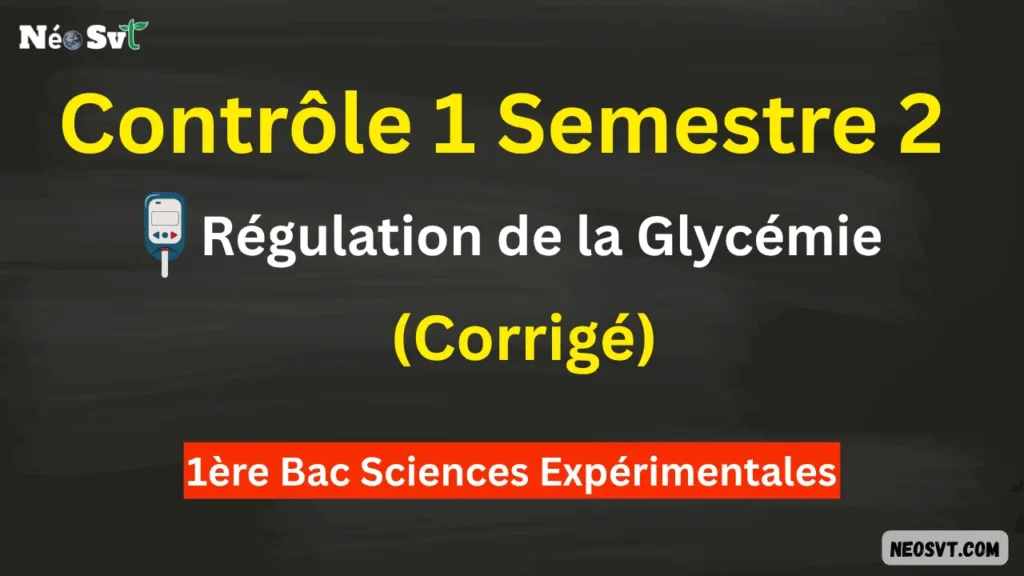 Miniature du contrôle 1 semestre 2 sur la régulation de la glycémie avec corrigé pour 1ère Bac Sciences Expérimentales SVT - NéoSvt