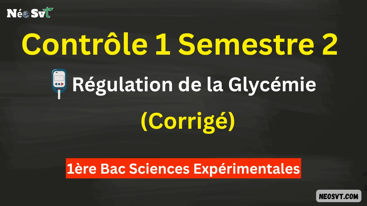 Miniature du contrôle 1 semestre 2 sur la régulation de la glycémie avec corrigé pour 1ère Bac Sciences Expérimentales SVT - NéoSvt