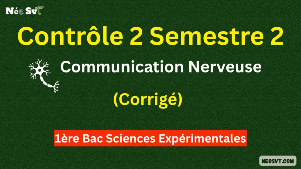 Miniature du contrôle 2 semestre 2 sur la communication nerveuse avec corrigé pour 1ère Bac Sciences Expérimentales SVT - NéoSvt