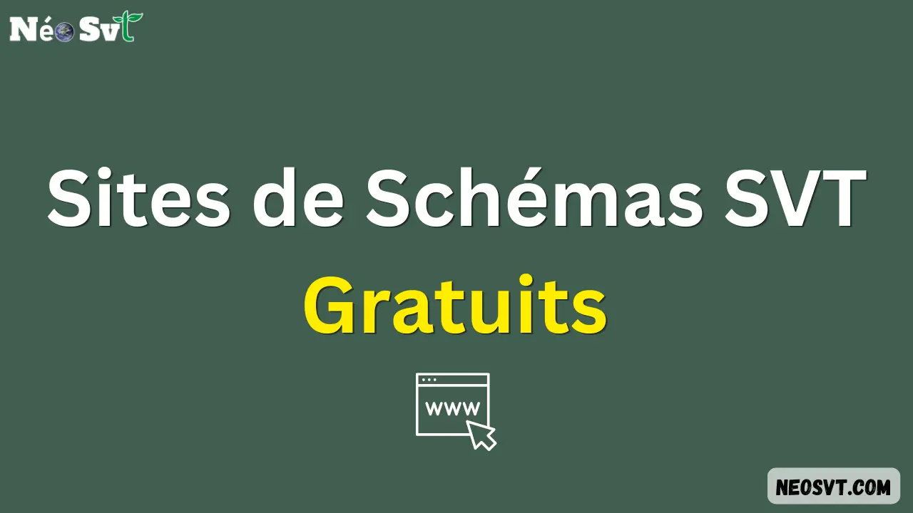 Sélection des meilleurs sites pour trouver des schémas de SVT gratuits