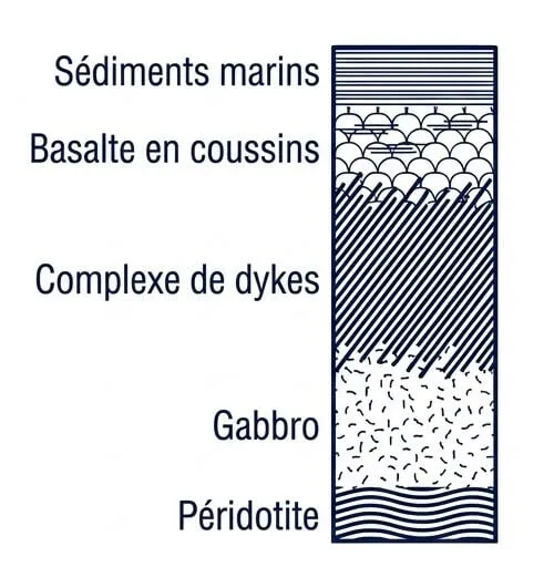 Succession lithologique d'un ophiolite (péridotite, gabbro, complexe de dykes, basalte, sédiments) représentant la lithosphère océanique.