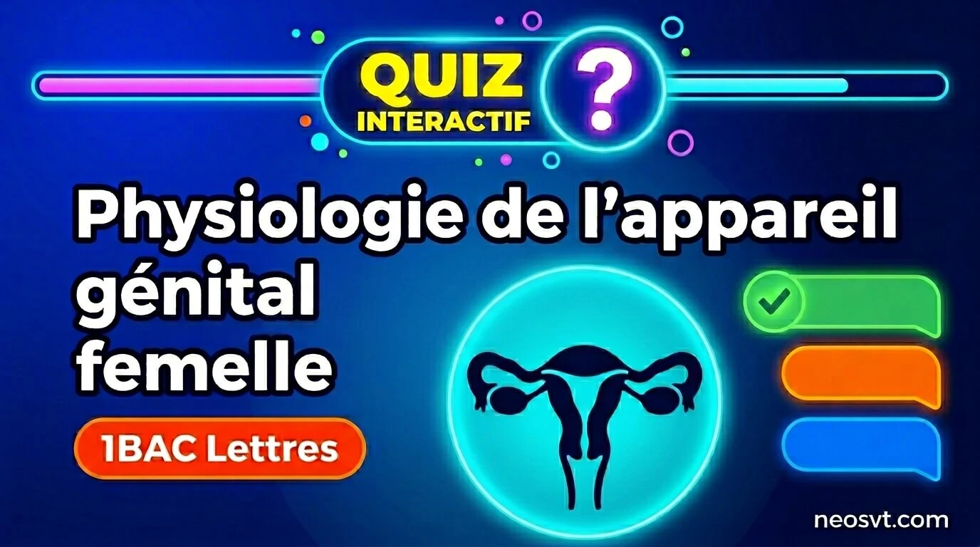 Quiz interactif de SVT sur la physiologie de l'appareil génital femelle pour le niveau 1ère Bac Lettres - NéoSvt