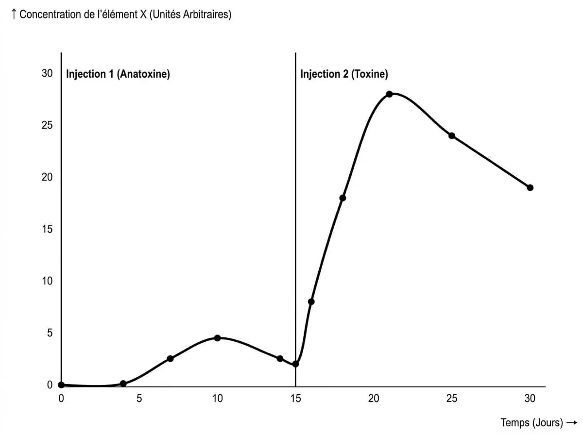 Comparaison entre la réponse immunitaire primaire (injection 1) et secondaire (injection 2) sur un graphique de concentration en fonction du temps.