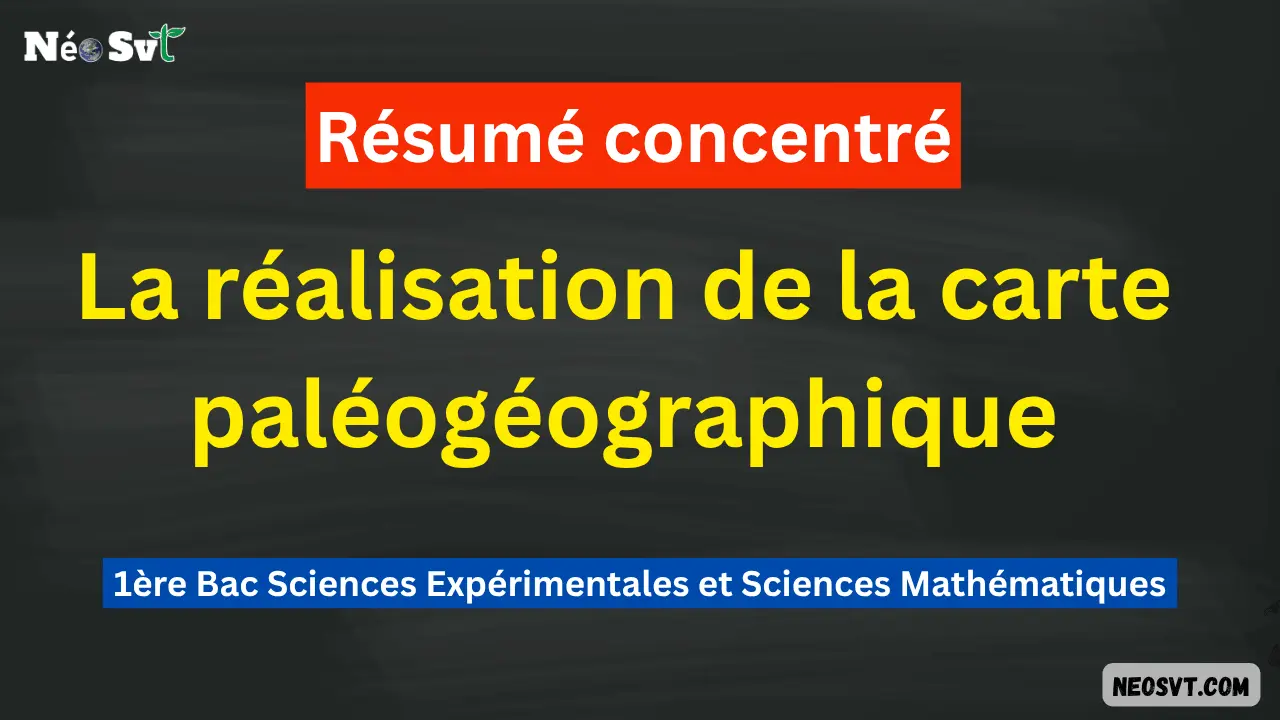 Miniature du résumé concentré sur la réalisation de la carte paléogéographique pour 1ère Bac Sciences Expérimentales et Mathématiques BIOF